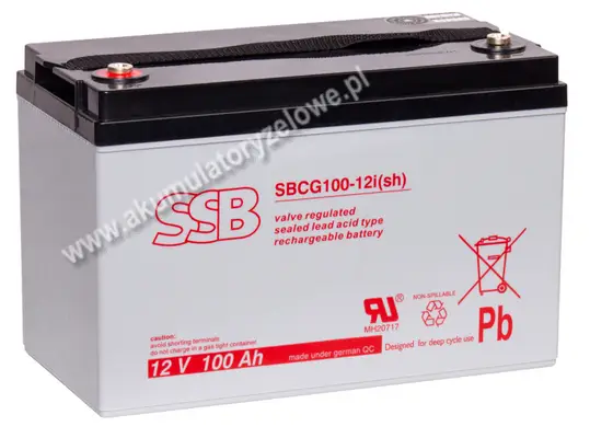 SSB SBCG 100-12i